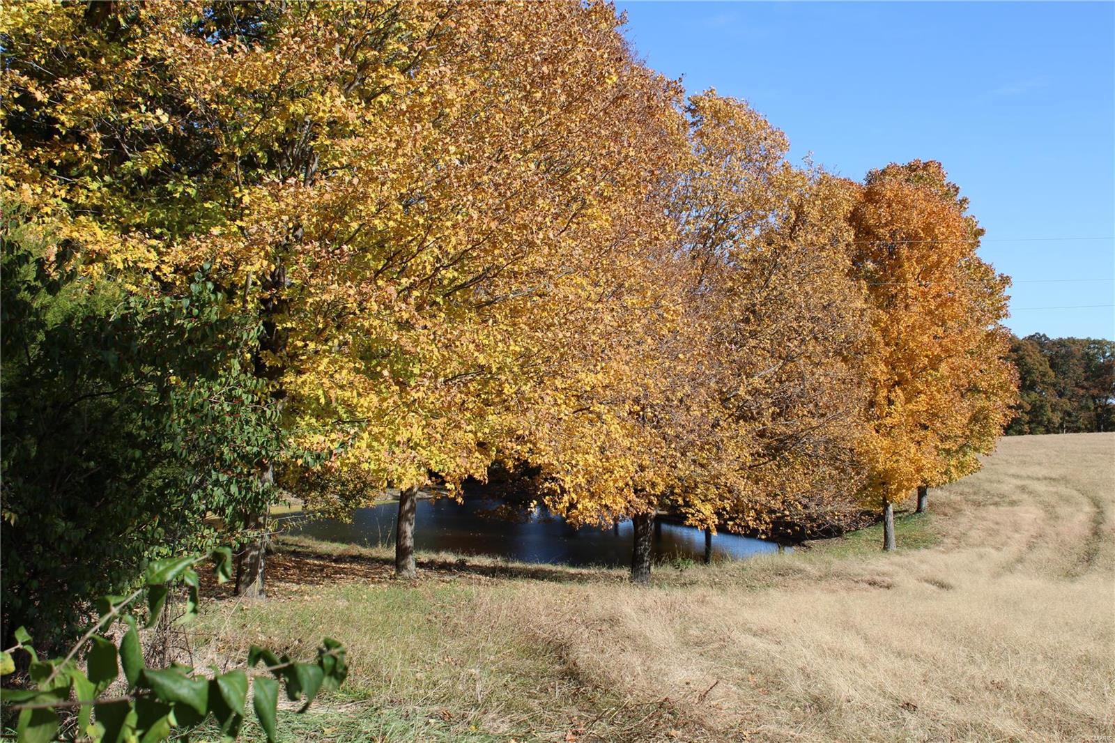 6079 Mm Road Red Bud, IL 62278 - Photo 47 of 54