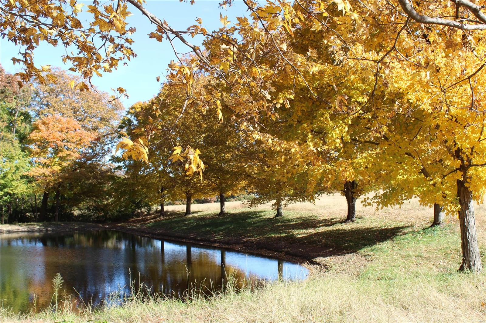 6079 Mm Road Red Bud, IL 62278 - Photo 48 of 54