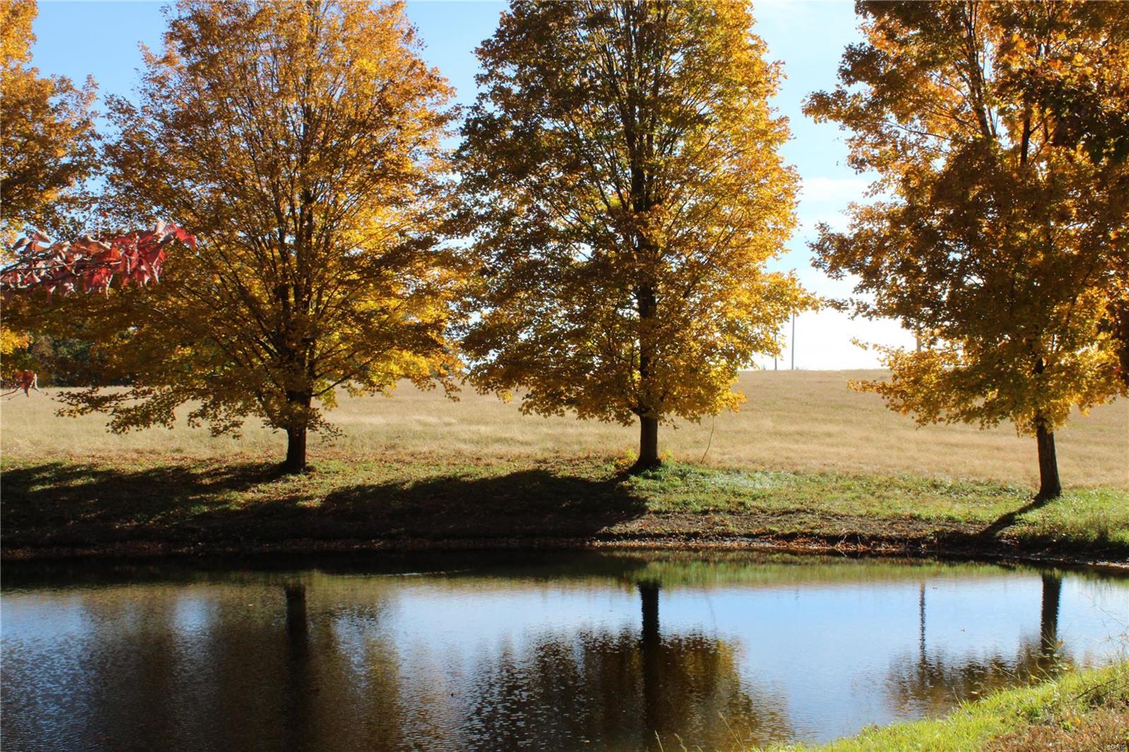 6079 Mm Road Red Bud, IL 62278 - Photo 49 of 54