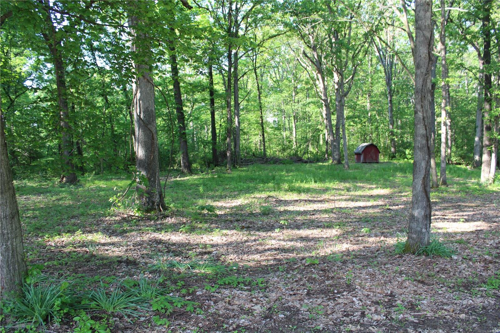 6079 Mm Road Red Bud, IL 62278 - Photo 51 of 54