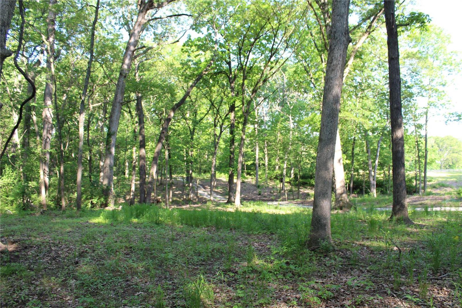 6079 Mm Road Red Bud, IL 62278 - Photo 53 of 54