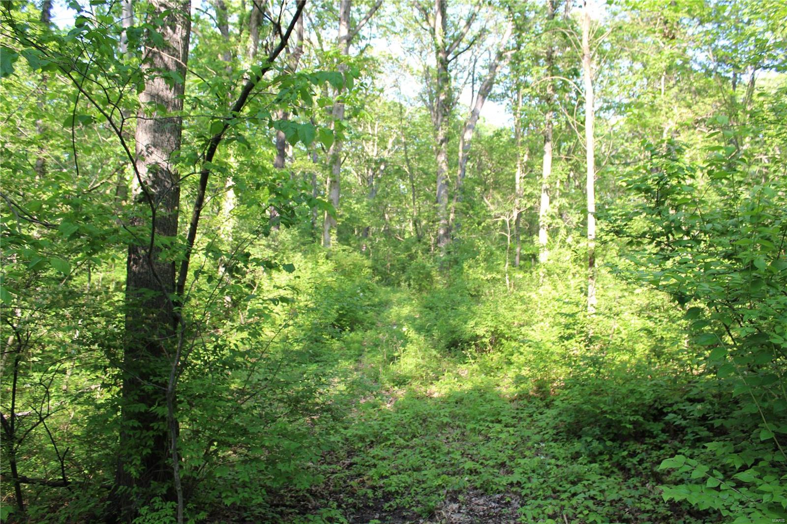 6079 Mm Road Red Bud, IL 62278 - Photo 54 of 54