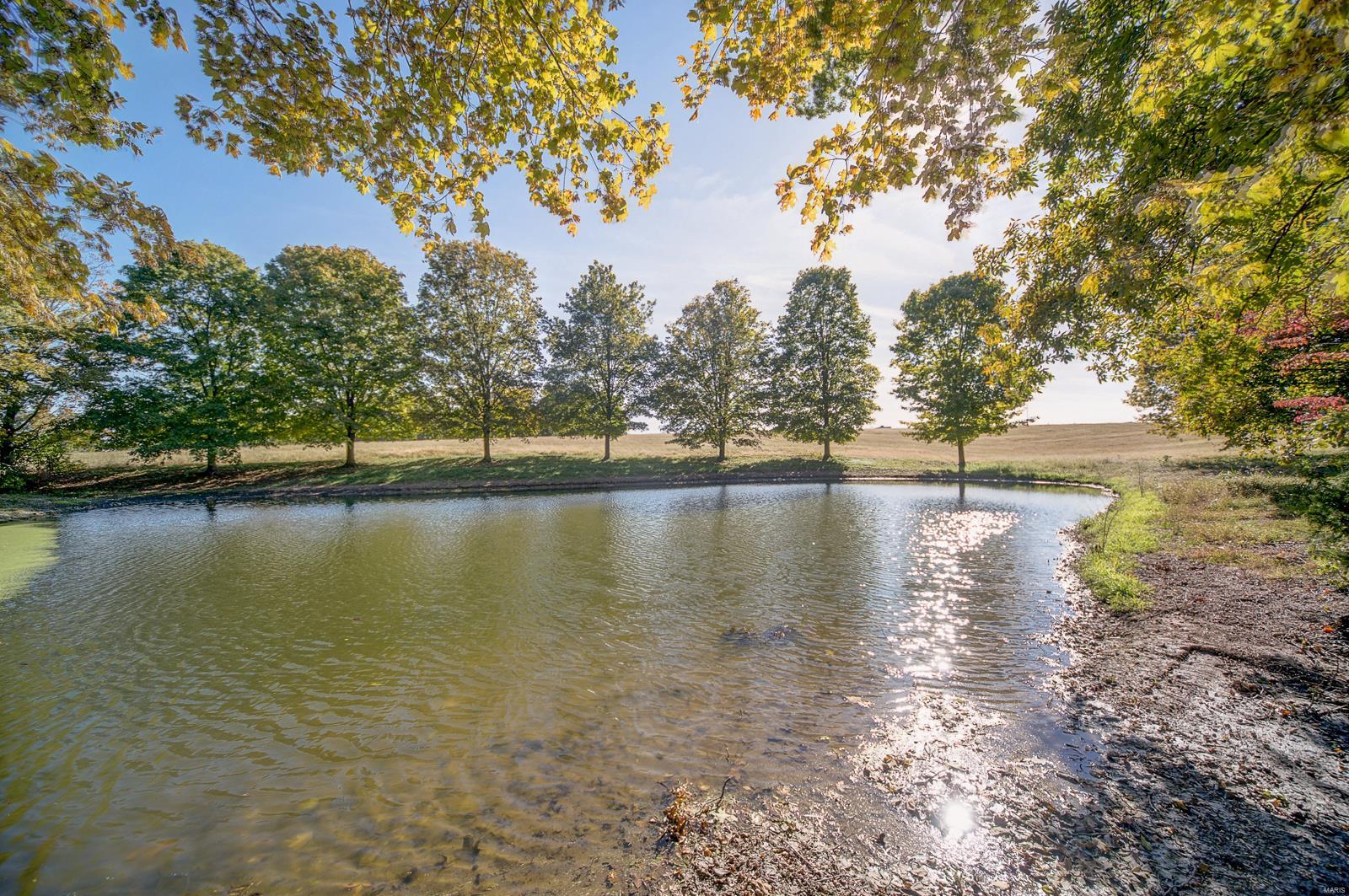 6079 Mm Road Red Bud, IL 62278 - Photo 8 of 54