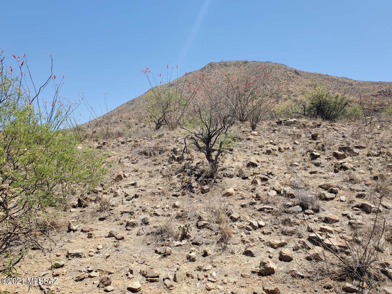 1695 Vía San Cayetano, Unit 7 Rio Rico, AZ 85648 - Photo 24 of 36