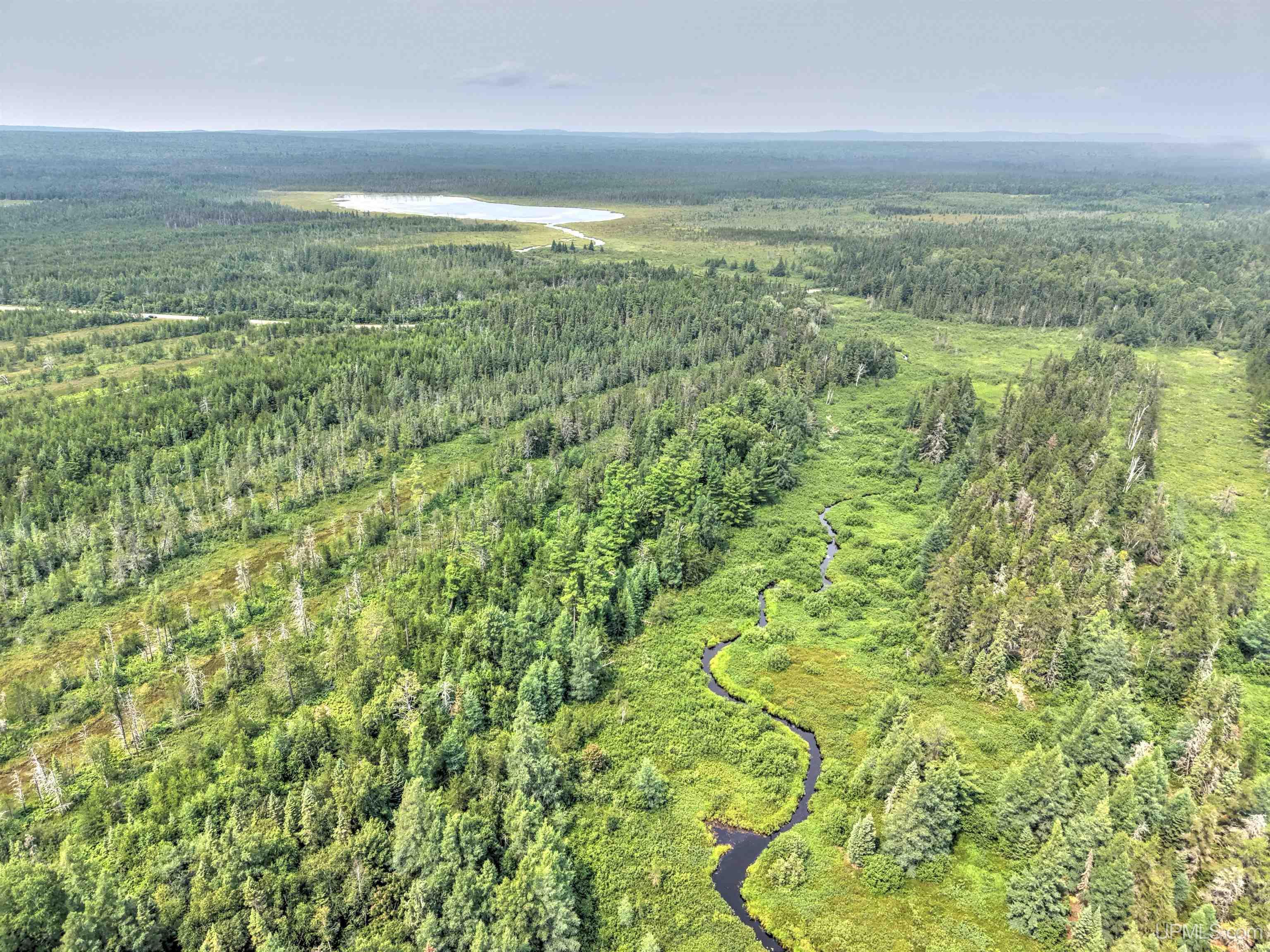 Tbd Near Rice Lake & Big Traverse Bay Rds Road Lake Linden, MI 49945 - Photo 8 of 17 Gallery Image 8
