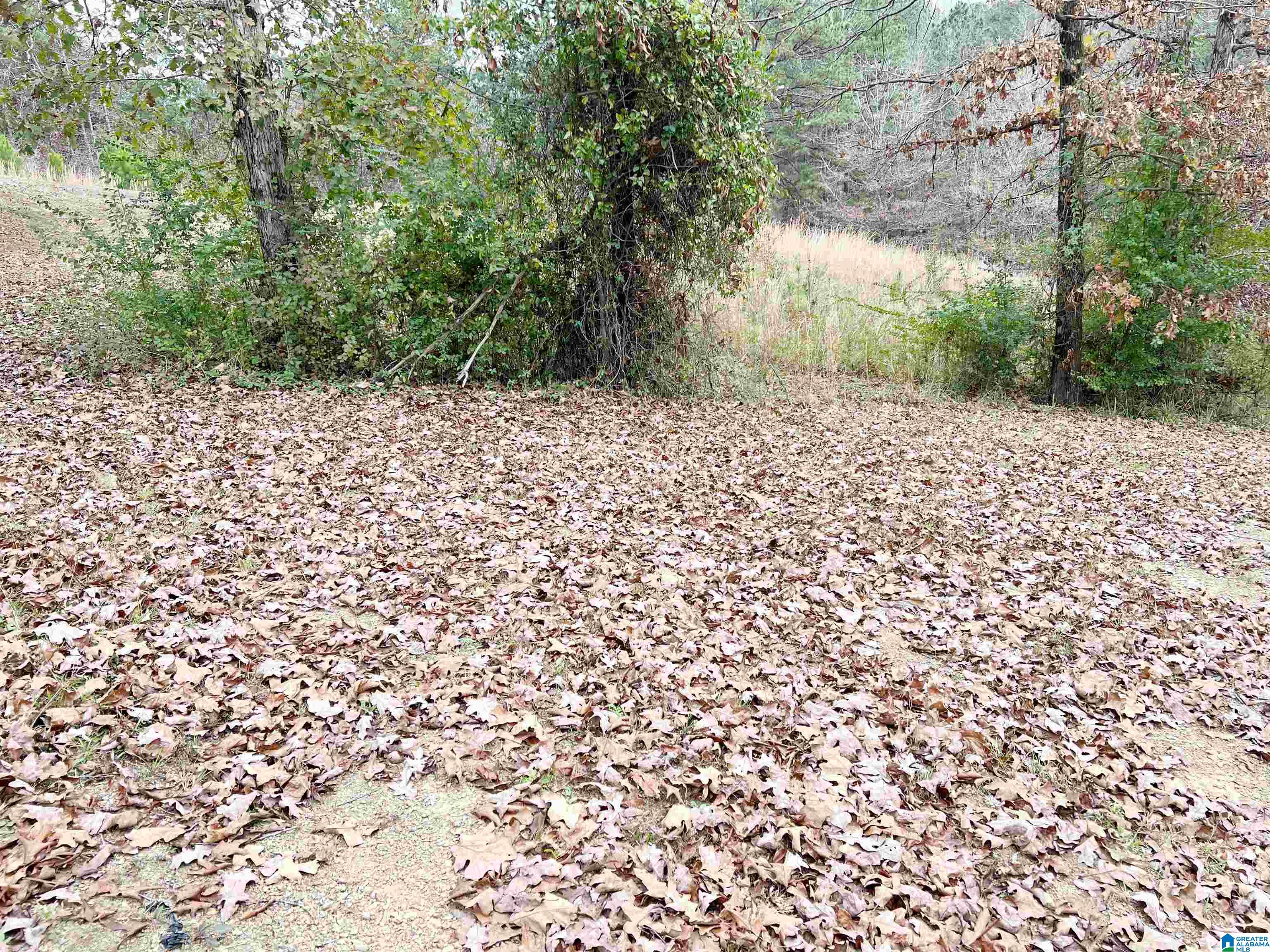 4876 Mud Creek Road Adger, AL 35006 - Photo 23 of 23