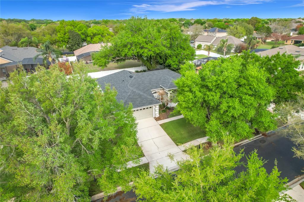 277 Magneta Loop Auburndale, FL 33823 - Photo 55 of 58 a view of a garden with a building in the background