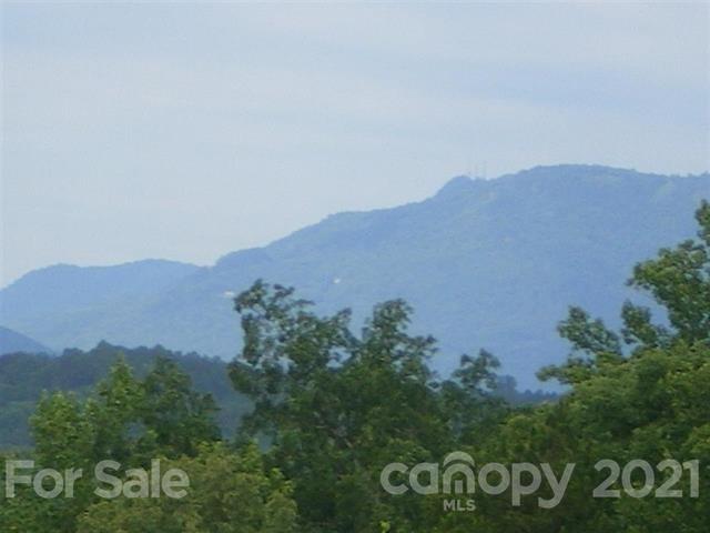 0 County Line Road Rutherfordton, NC 28139 - Photo 1 of 11 a view of a bunch of trees and mountains in the background