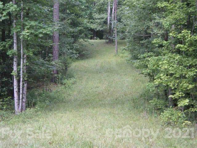 0 County Line Road Rutherfordton, NC 28139 - Photo 11 of 11 a view of a forest
