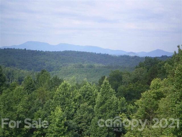 0 County Line Road Rutherfordton, NC 28139 - Photo 4 of 11 an aerial view of houses covered in trees