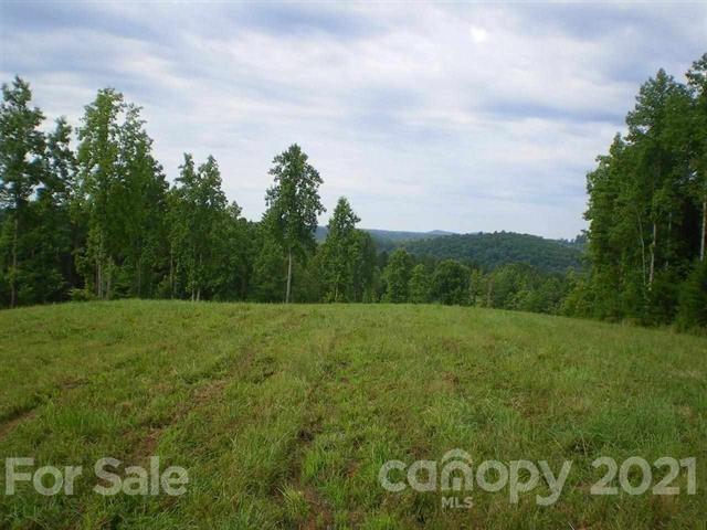 0 County Line Road Rutherfordton, NC 28139 - Photo 6 of 11 a view of a field of grass and trees