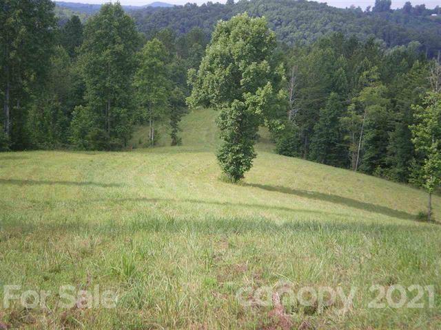 0 County Line Road Rutherfordton, NC 28139 - Photo 7 of 11 a view of a yard