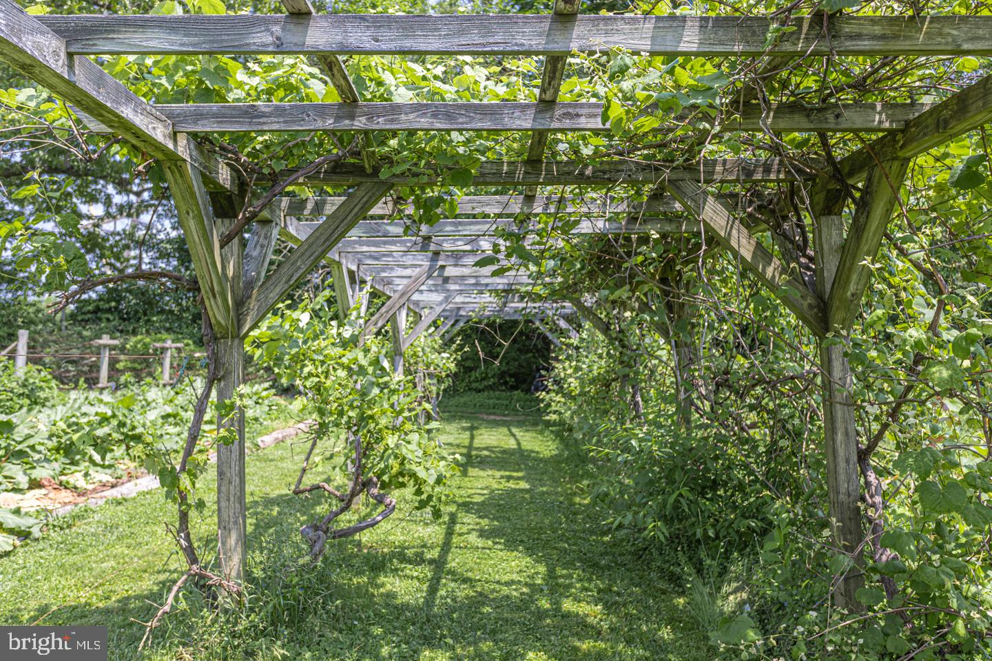 2949 Creamery Road New Hope, PA 18938 - Photo 54 of 65 Gallery Image 54