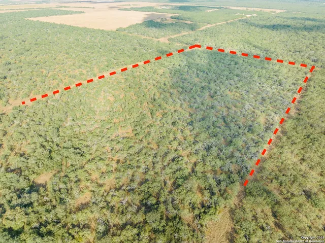 a view of beach and ocean