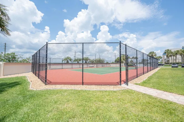 a view of a park with a large tree
