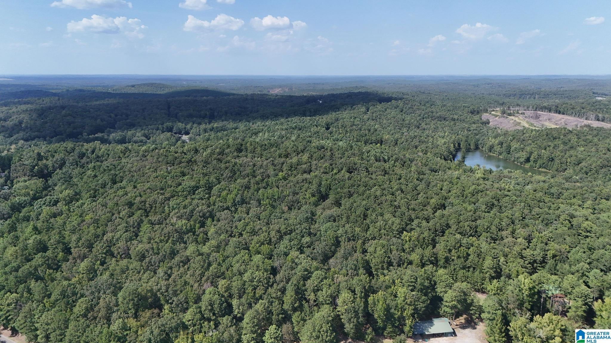 0 Clements Road Cottondale, AL 35453 - Photo 9 of 13 Gallery Image 9