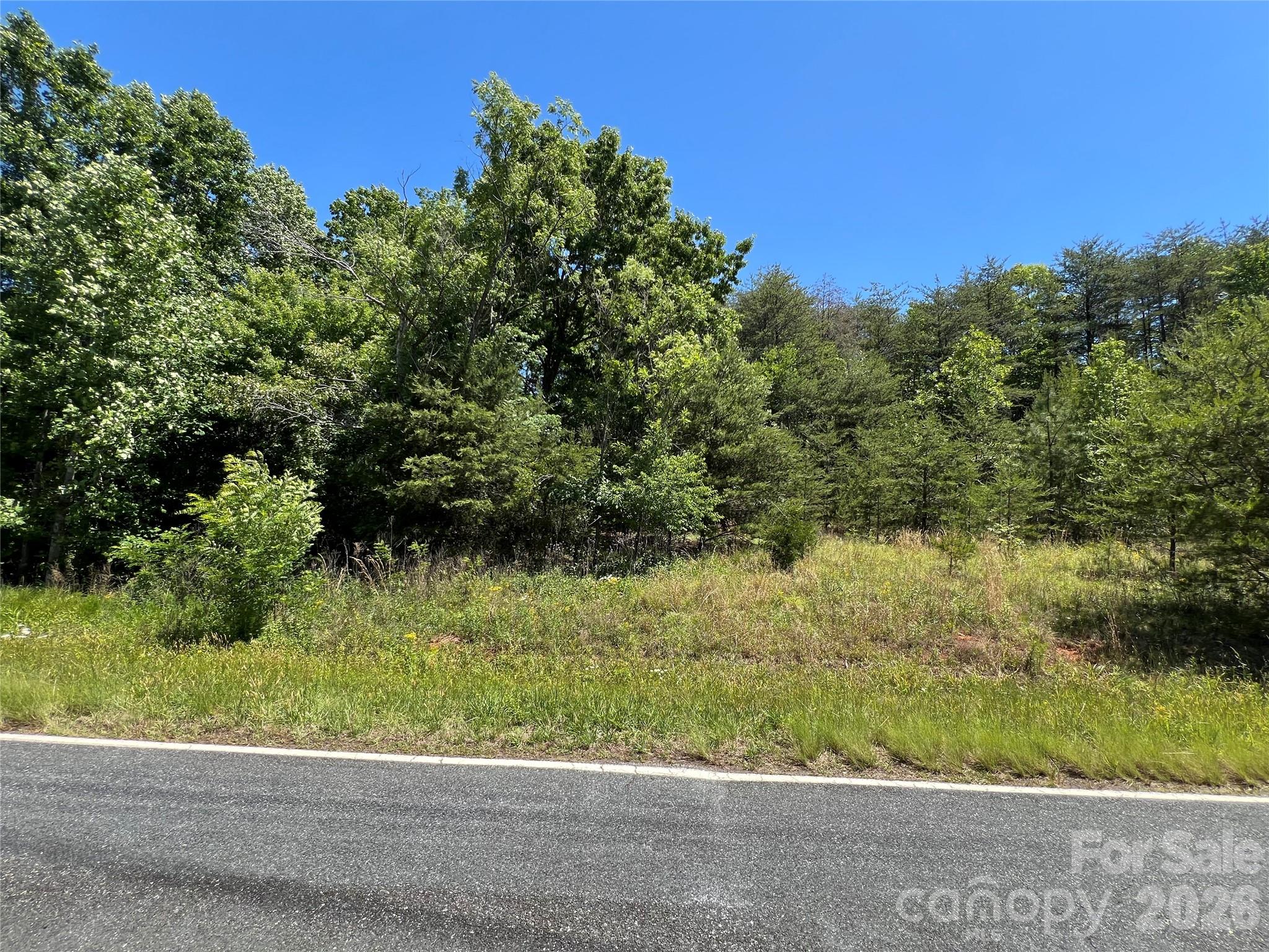 0 Luckadoo Mountain Road, Unit 177 Bostic, NC 28018 - Photo 6 of 11