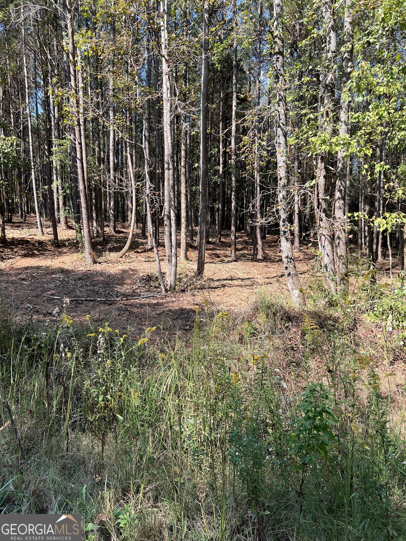800 Browning Way Jasper, GA 30143 - Photo 2 of 6