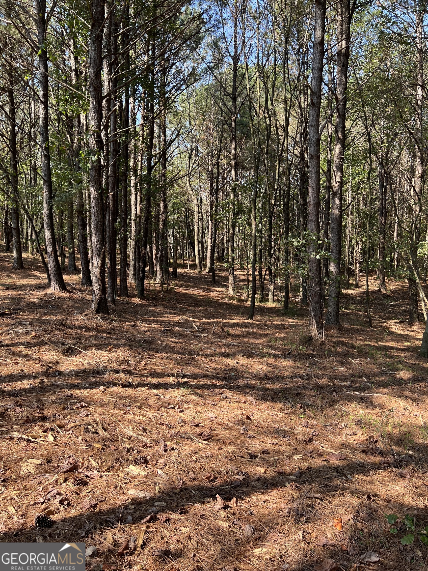 800 Browning Way Jasper, GA 30143 - Photo 6 of 6