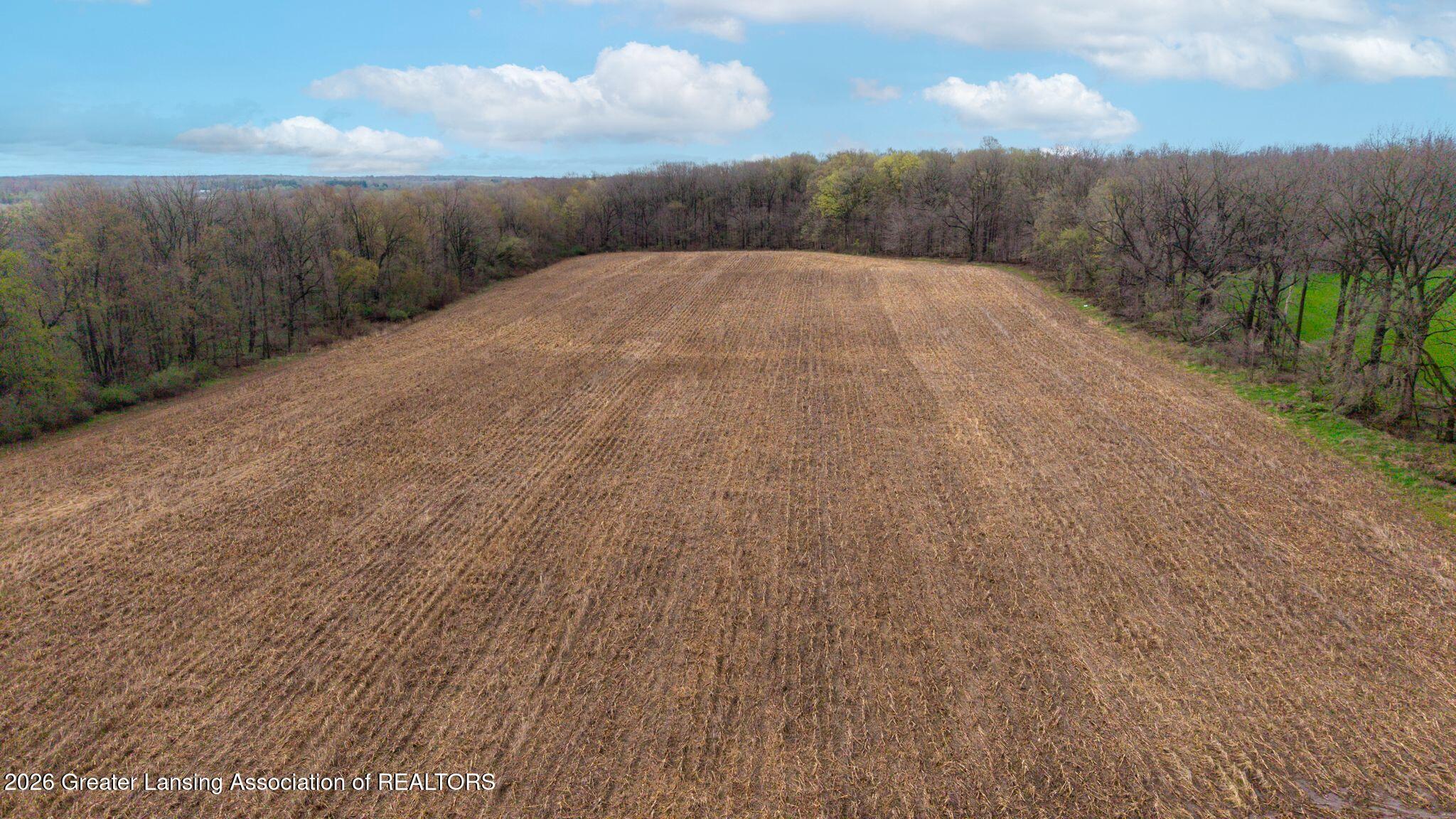 690 Okemos Road Mason, MI 48854 - Photo 46 of 85 0uJtuvCw