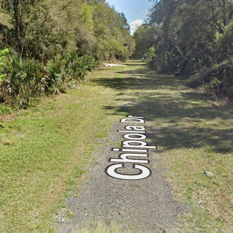 106 Chipola Drive Georgetown, FL 32139 - Photo 5 of 8