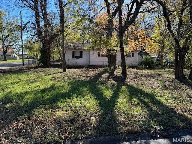 $4,000 | 601 Elkins Street, Charleston, MO 63834