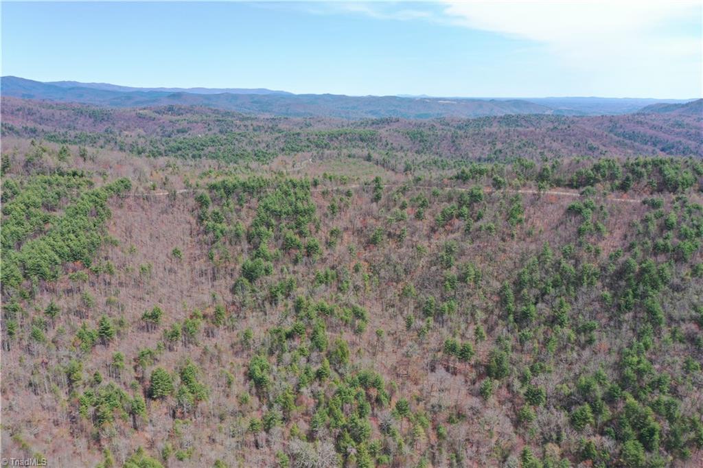 0 Big Ivy Road Purlear, NC 28665 - Photo 12 of 50