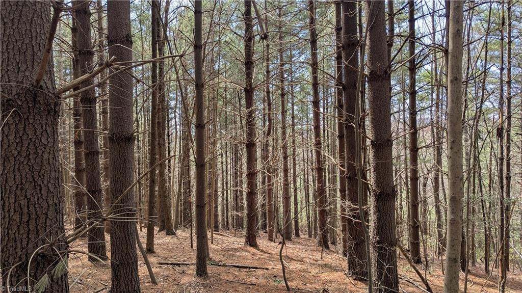 0 Big Ivy Road Purlear, NC 28665 - Photo 26 of 50