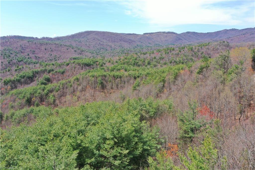 0 Big Ivy Road Purlear, NC 28665 - Photo 3 of 50