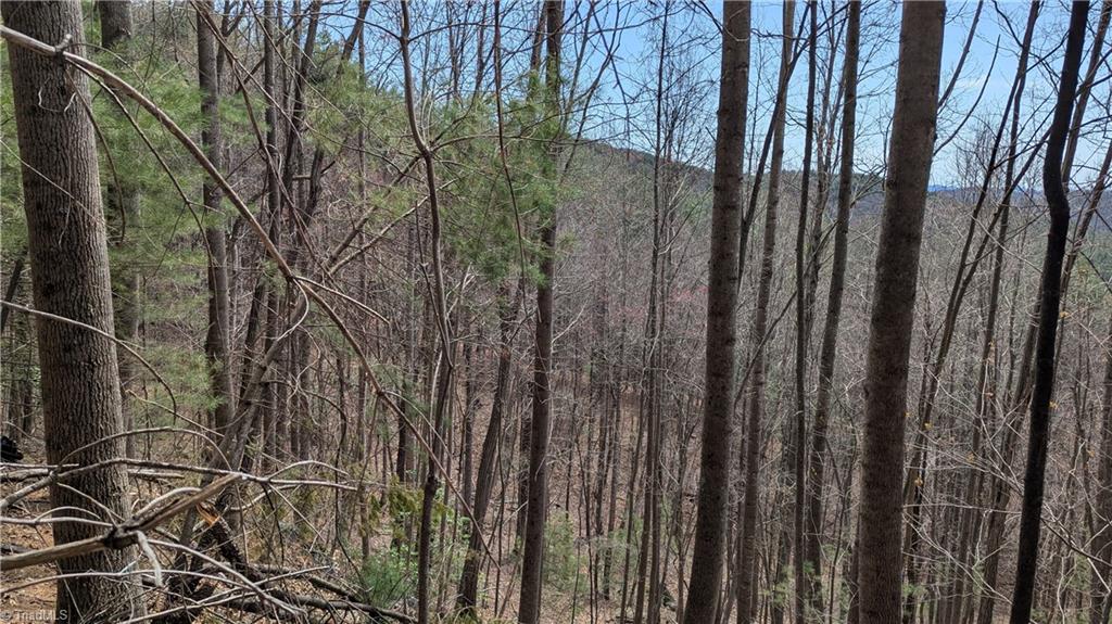 0 Big Ivy Road Purlear, NC 28665 - Photo 33 of 50