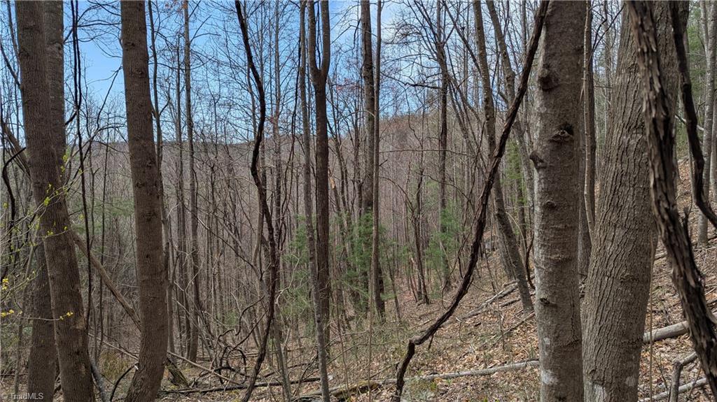 0 Big Ivy Road Purlear, NC 28665 - Photo 34 of 50