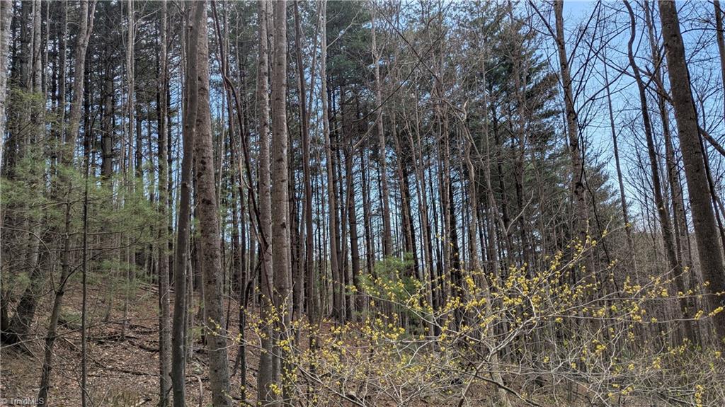 0 Big Ivy Road Purlear, NC 28665 - Photo 35 of 50