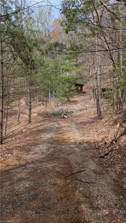 0 Big Ivy Road Purlear, NC 28665 - Photo 43 of 50