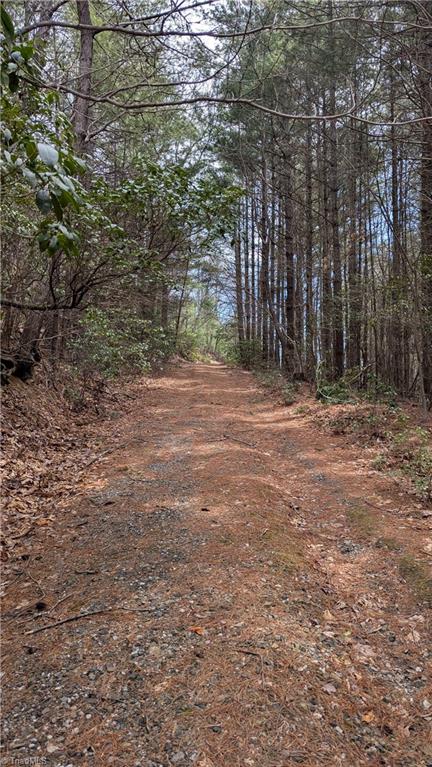 0 Big Ivy Road Purlear, NC 28665 - Photo 44 of 50