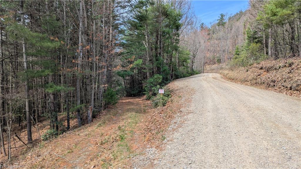 0 Big Ivy Road Purlear, NC 28665 - Photo 45 of 50