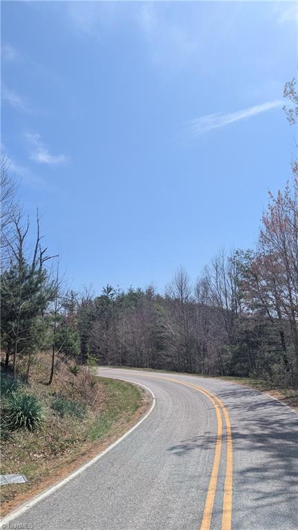 0 Big Ivy Road Purlear, NC 28665 - Photo 49 of 50