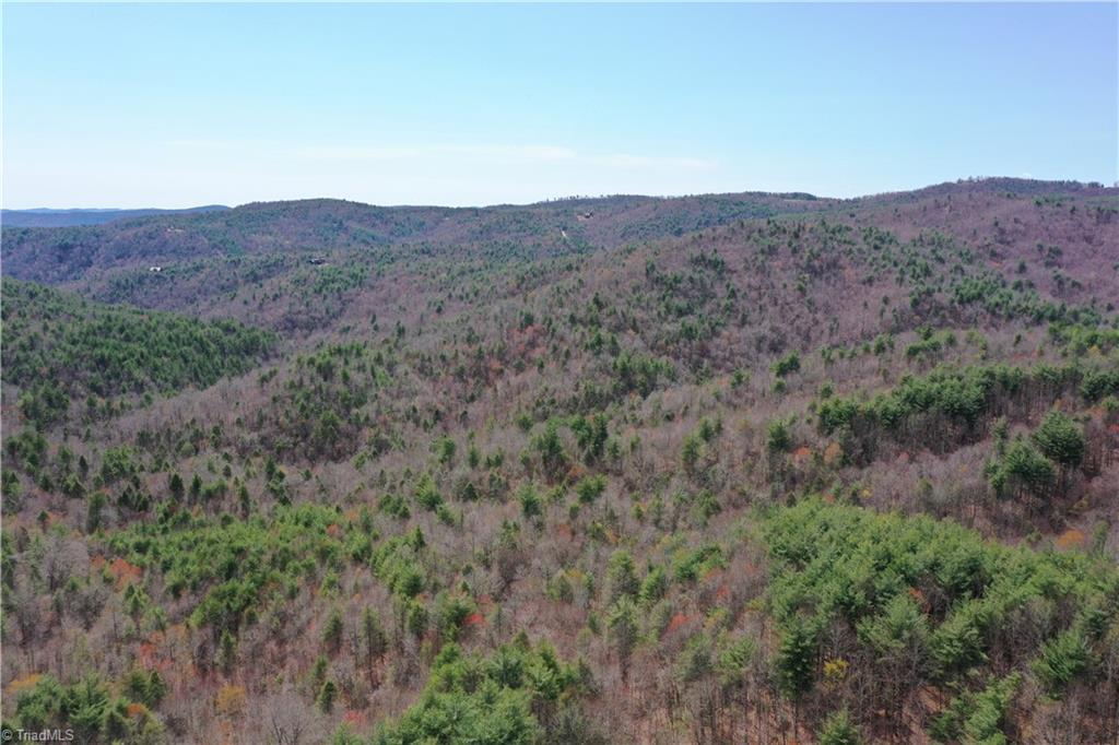 0 Big Ivy Road Purlear, NC 28665 - Photo 7 of 50