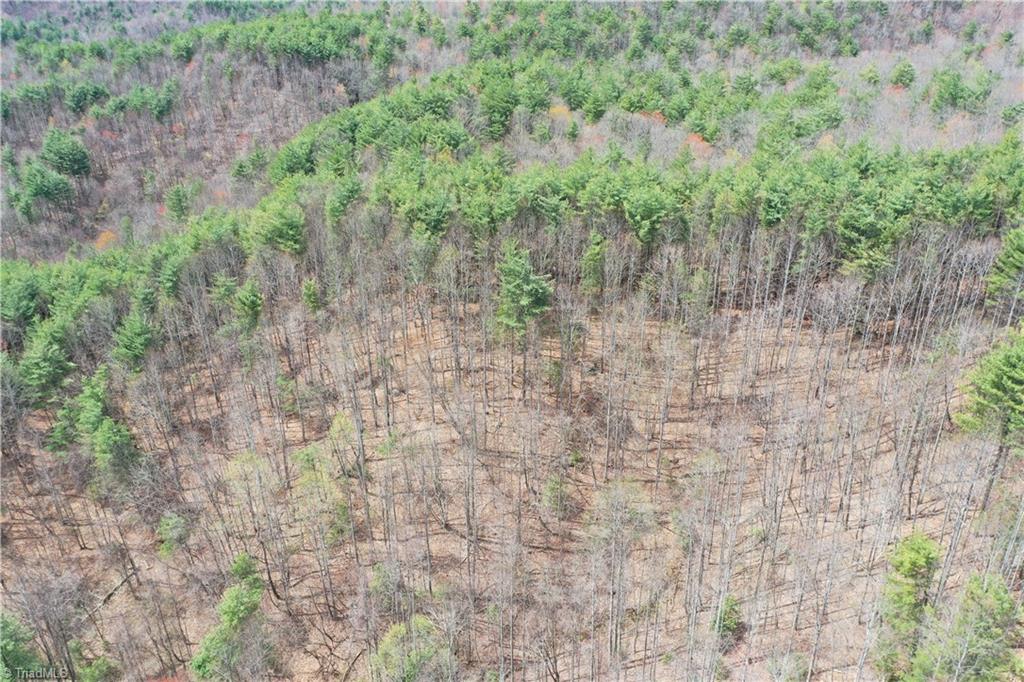 0 Big Ivy Road Purlear, NC 28665 - Photo 8 of 50