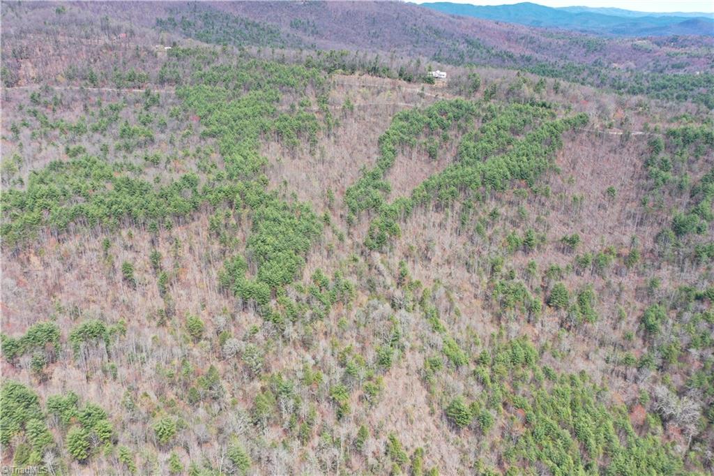 0 Big Ivy Road Purlear, NC 28665 - Photo 10 of 50