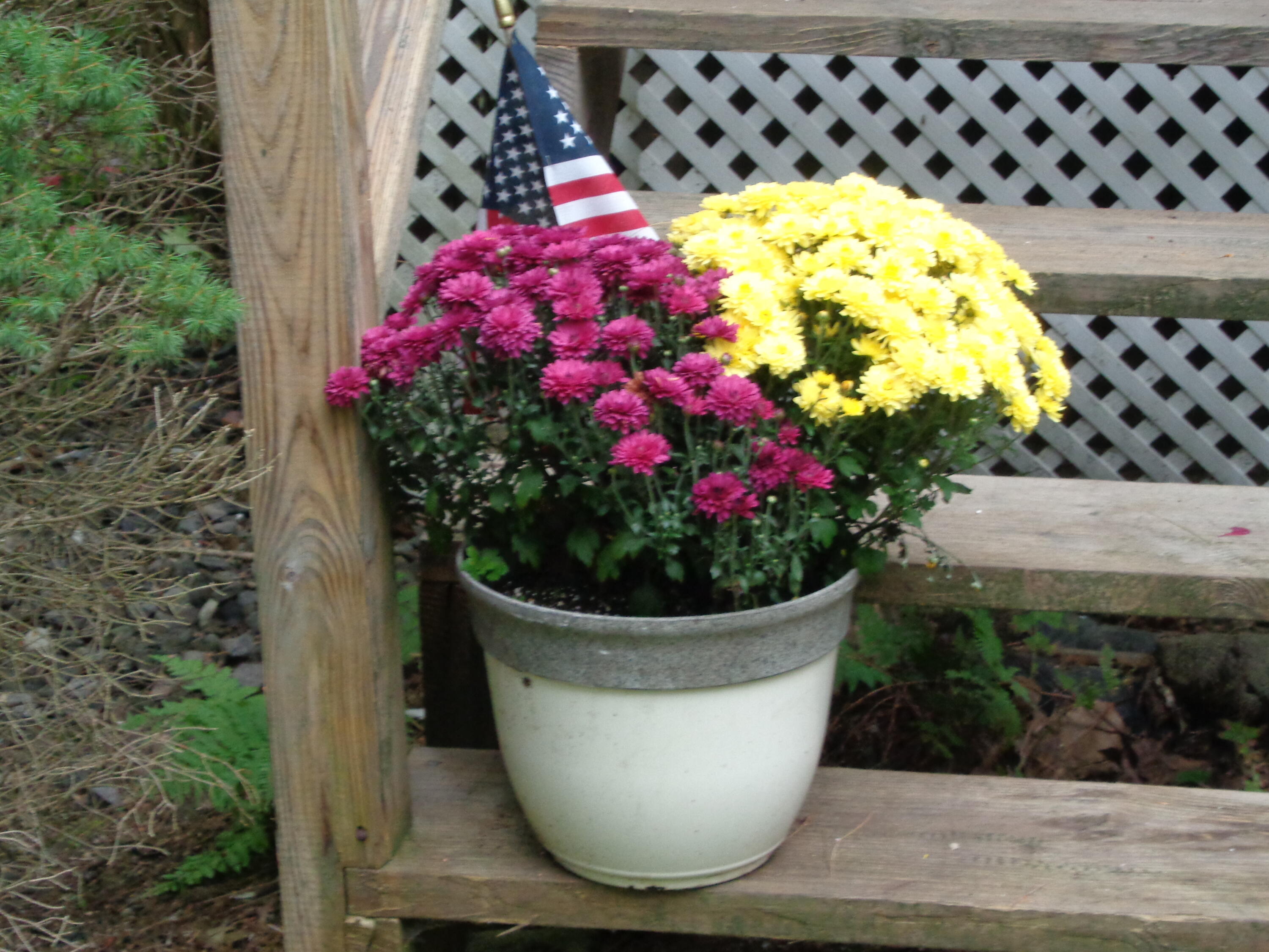 138 Weston Road Woolwich, ME 04579 - Photo 38 of 46 DSC00883