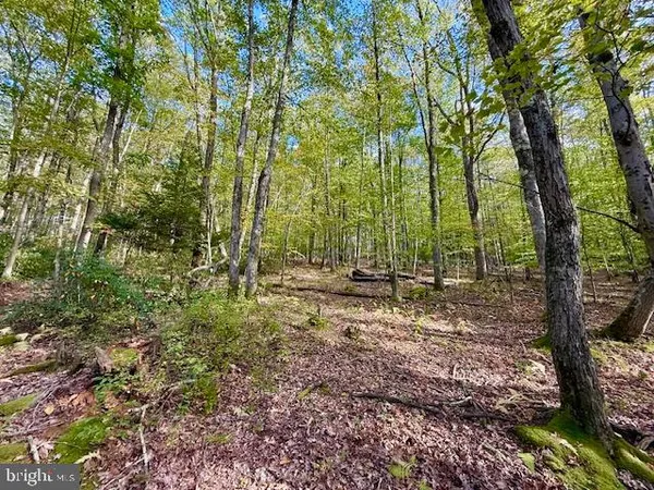 $39,000 | 7-8 (2.57 Ac) Valley Road, Oakland, MD 21550