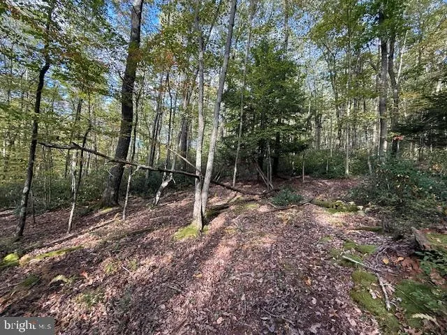 $39,000 | 7-8 (2.57 Ac) Valley Road, Oakland, MD 21550