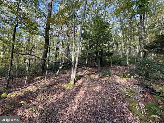 7-8 (2.57 Ac) Valley Road Oakland, MD 21550 - Photo 12 of 15