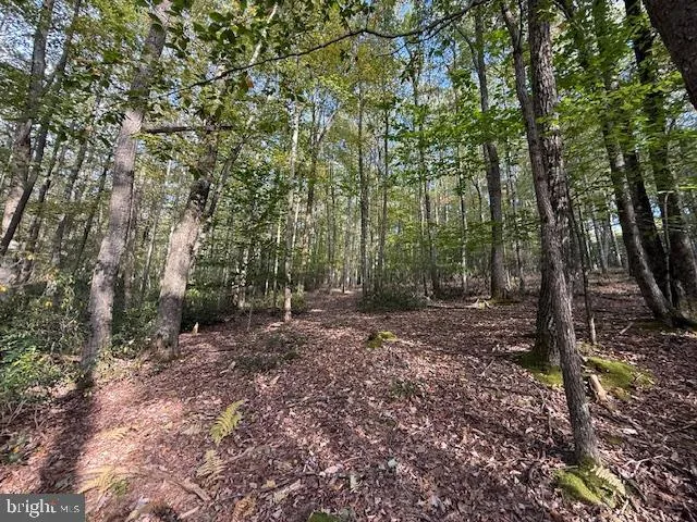 $39,000 | 7-8 (2.57 Ac) Valley Road, Oakland, MD 21550