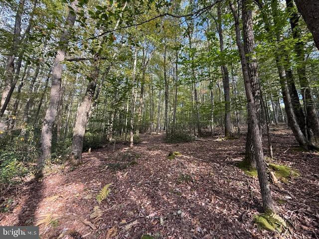 7-8 (2.57 Ac) Valley Road Oakland, MD 21550 - Photo 13 of 15