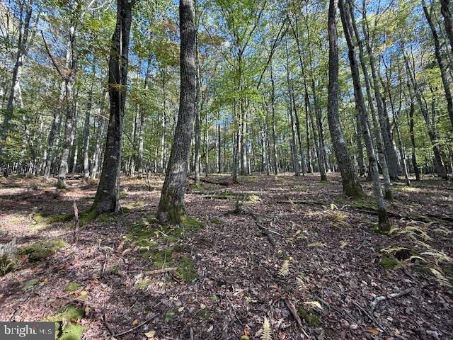 7-8 (2.57 Ac) Valley Road Oakland, MD 21550 - Photo 14 of 15