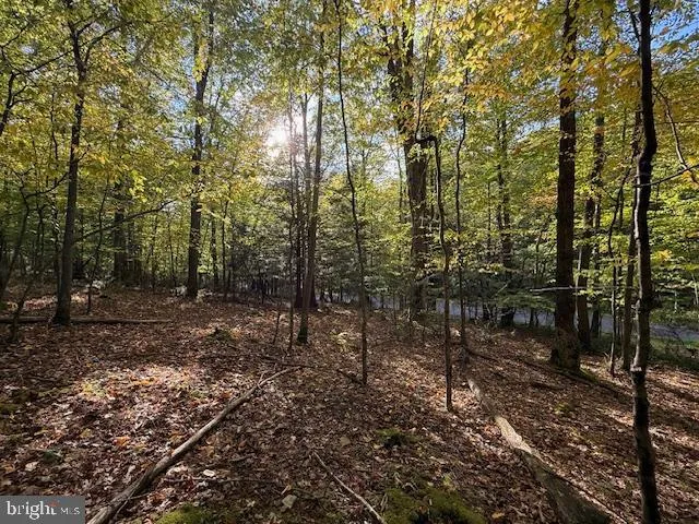 $39,000 | 7-8 (2.57 Ac) Valley Road, Oakland, MD 21550