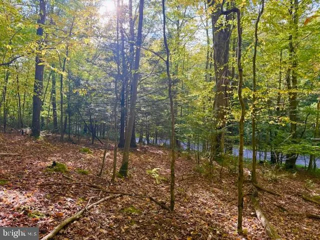 $39,000 | 7-8 (2.57 Ac) Valley Road, Oakland, MD 21550