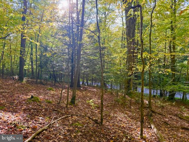 7-8 (2.57 Ac) Valley Road Oakland, MD 21550 - Photo 2 of 15