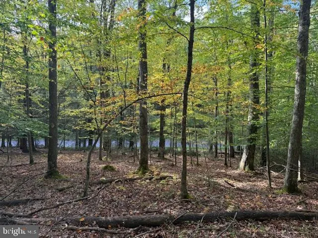 $39,000 | 7-8 (2.57 Ac) Valley Road, Oakland, MD 21550